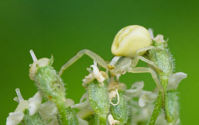 WENN SCHWÄCHE ZUR STÄRKE WIRD -