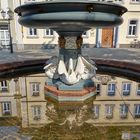 Wenn Schwäne singen, schweigt der Brunnen. 