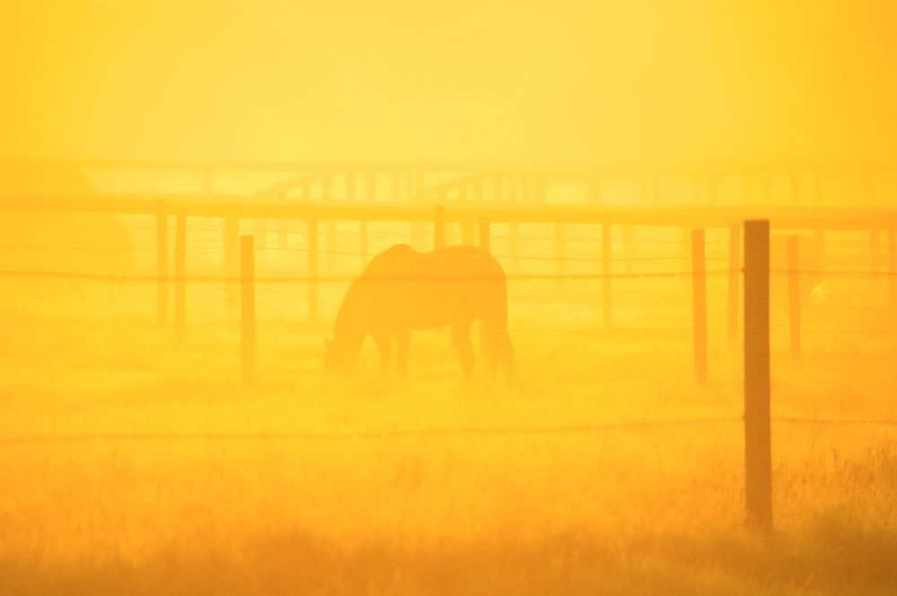 wenn selbst der nebel orange wird