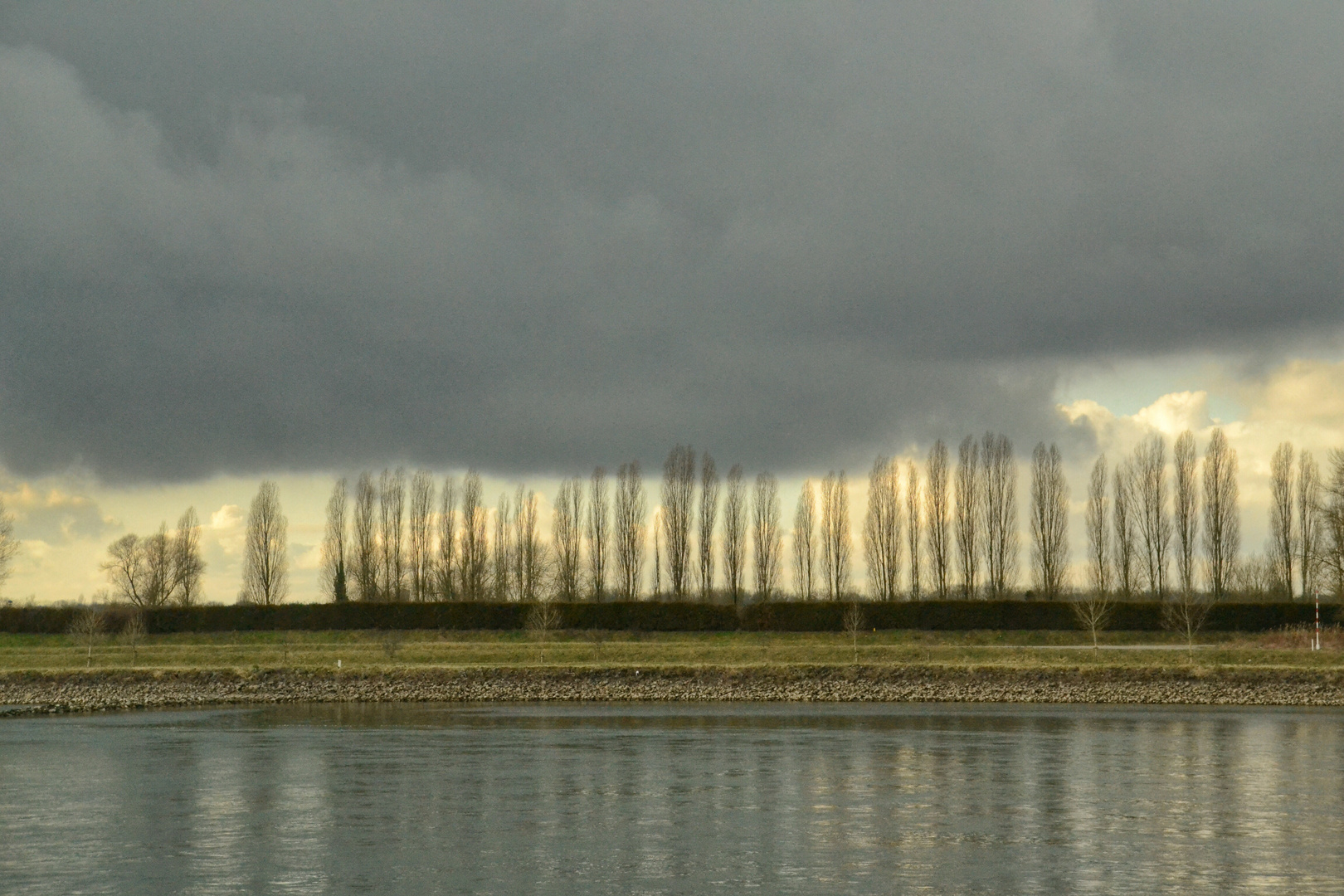 Wenn sich der Himmel auf die Bäume legt...