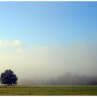 Wenn sich der Nebel auflöst...