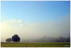 Wenn sich der Nebel auflöst...