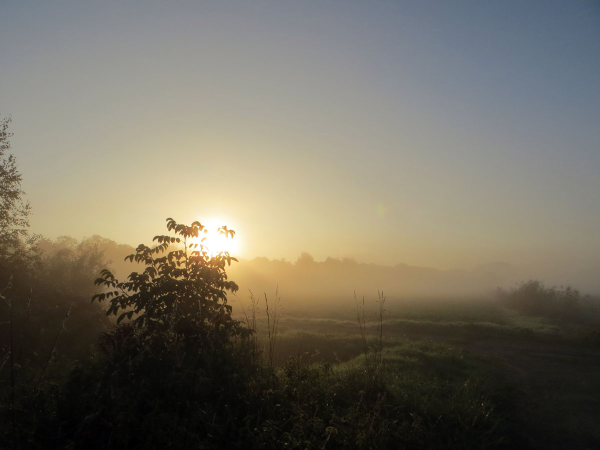 Wenn sich der Nebel hebt