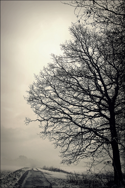 wenn sich der Nebel lichtet