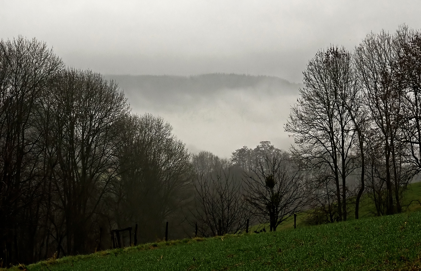 Wenn sich die grauen Nebel erst mal verzogen haben ....