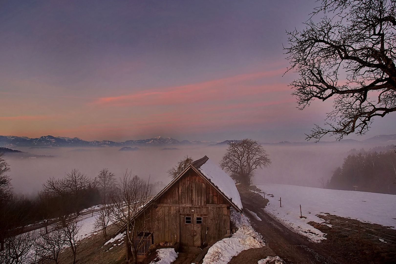 Wenn sich die Morgennebel langsam lichten (1)