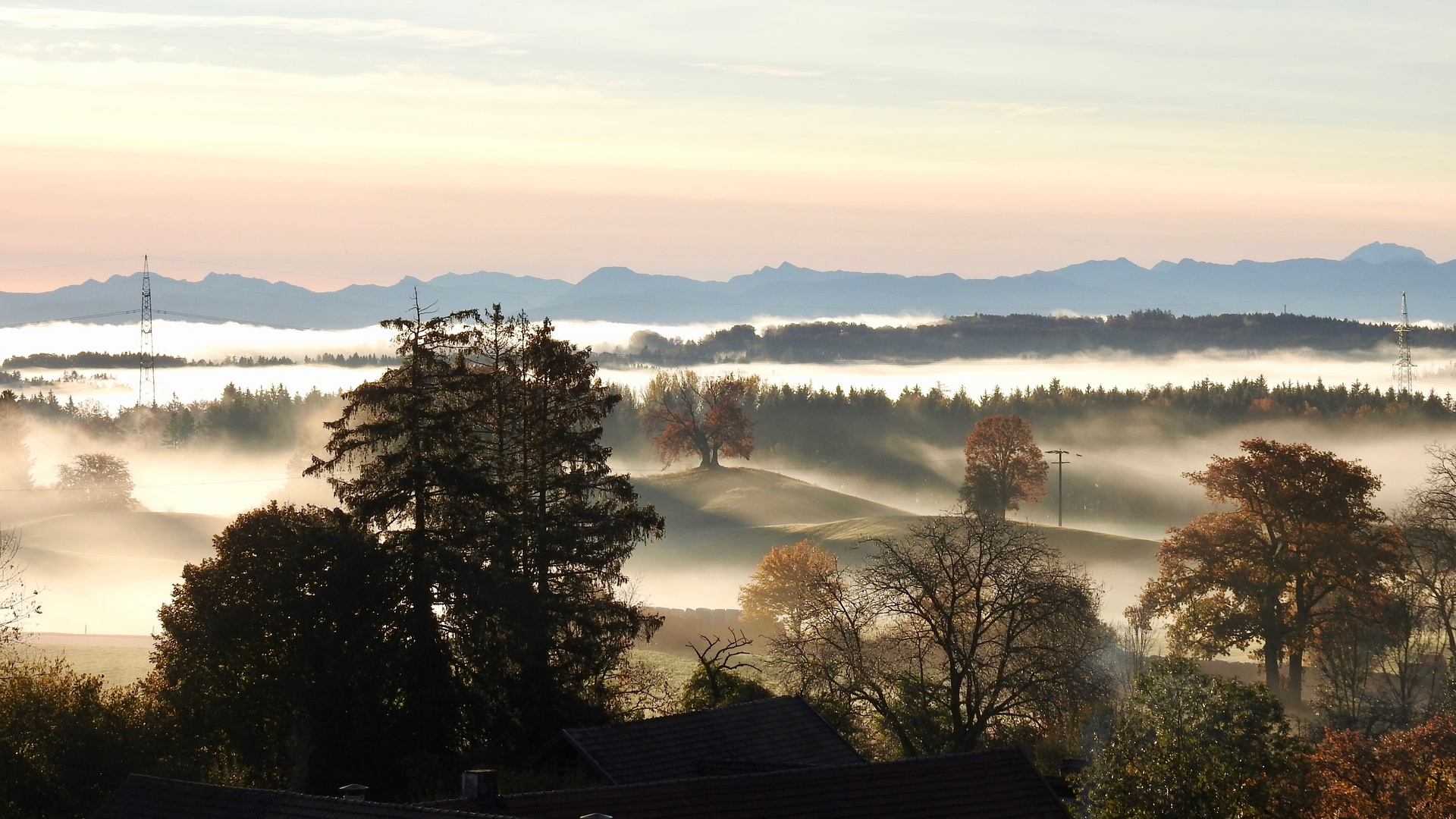 Wenn sich die Nebel lichten . . .