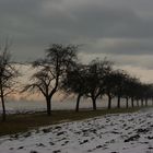 Wenn sich die Schneegeister leise vom Acker machen