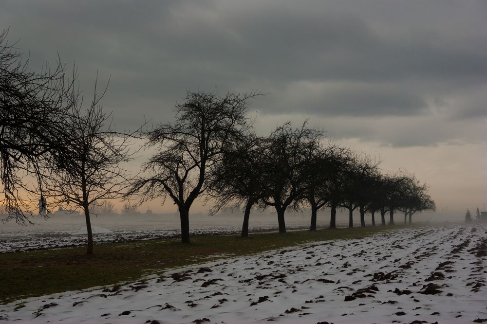 Wenn sich die Schneegeister leise vom Acker machen