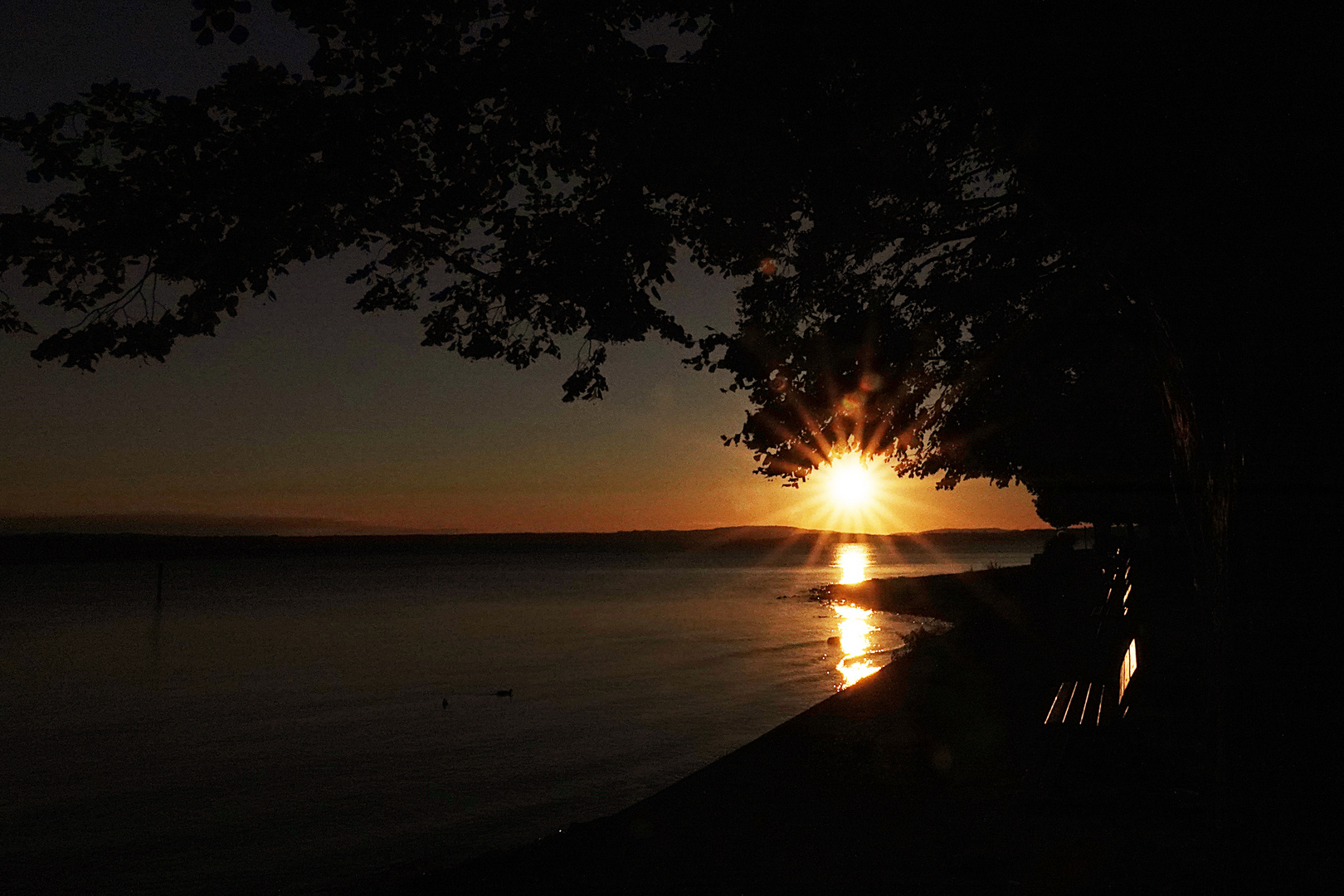 wenn sich die Sonne im Bodensee spiegelt