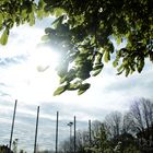 Wenn sich Frühling und Sommer verloben