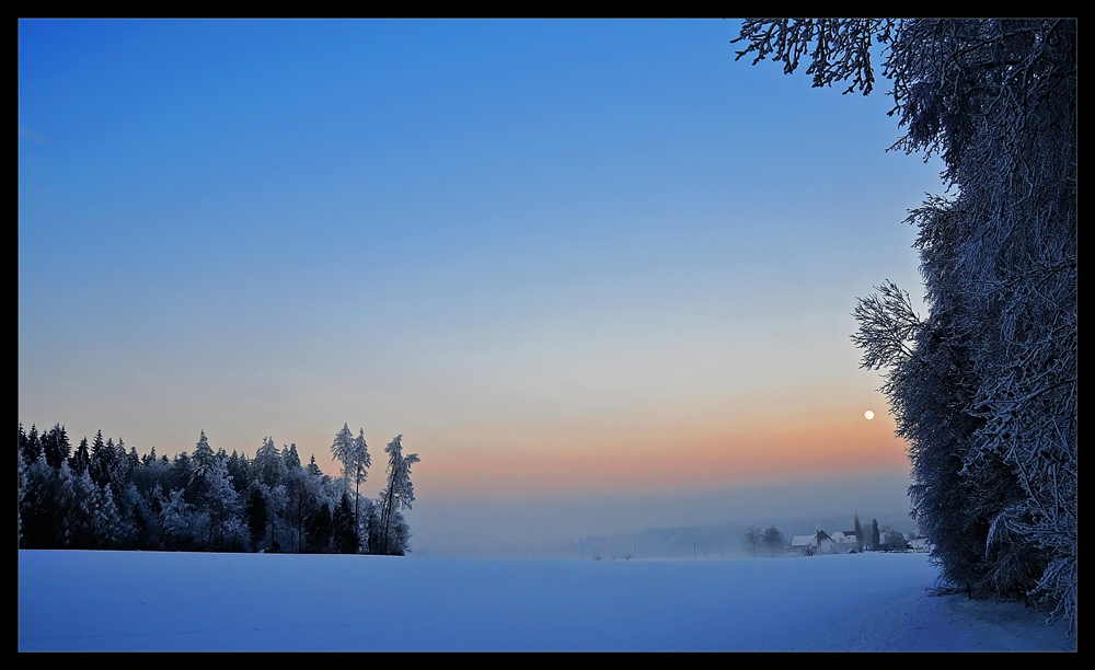 ...wenn sich hase und reh "gut nacht" gesagt haben...