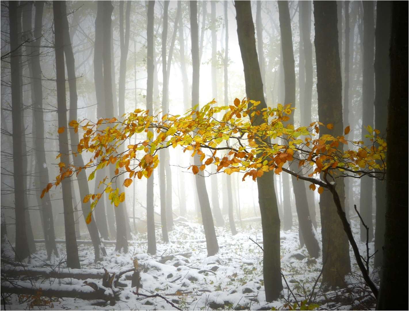 Wenn sich Herbst und Winter die Hand reichen