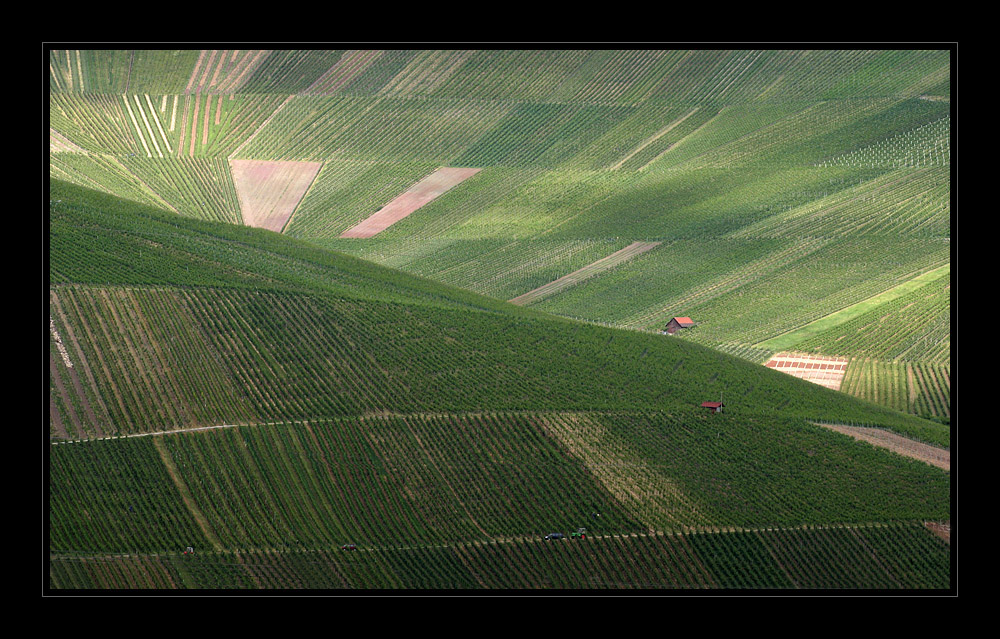 wenn sich Licht und Schatten abwechseln ... II