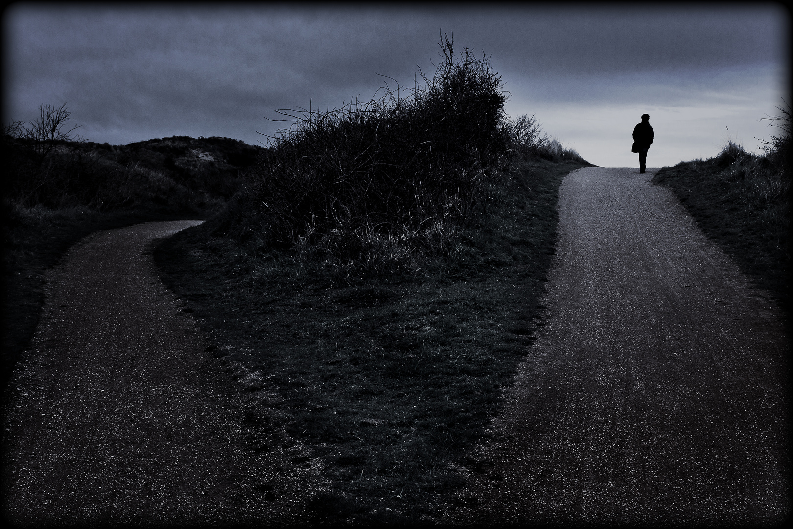 Download Wege trennen sich Free Wege Trennen Sich