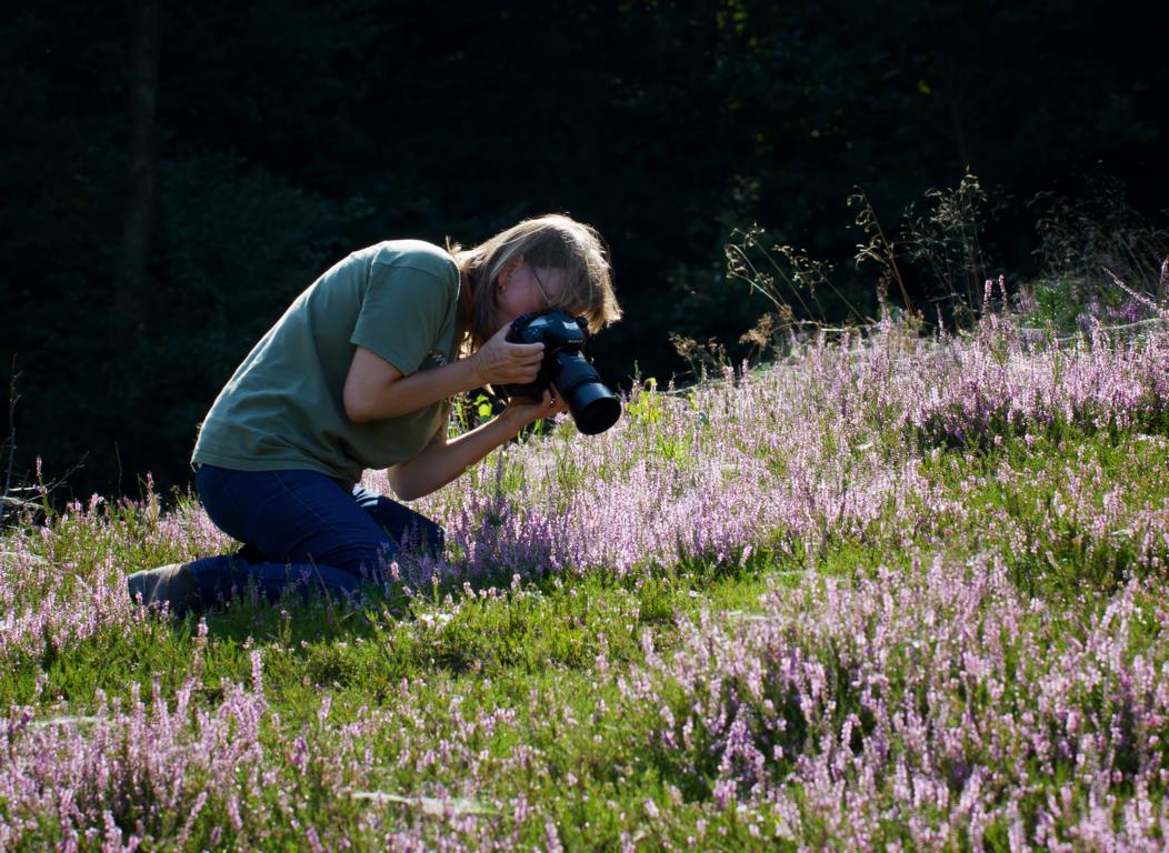 Wenn Sonja in der Heide fotografiert..