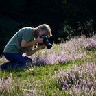 Wenn Sonja in der Heide fotografiert..