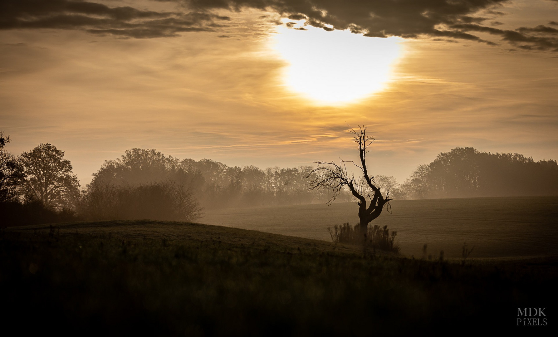 wenn Sonne den Nebel durchbricht