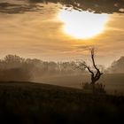 wenn Sonne den Nebel durchbricht