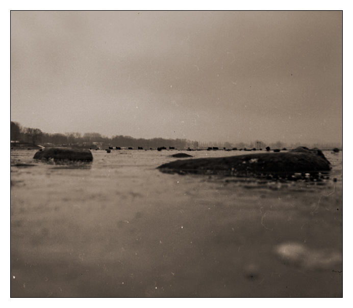 - _wenn Steine auf dem Wasser schwimmen -