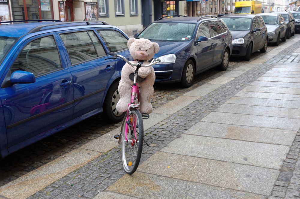 Wenn Teddies Rad fahren