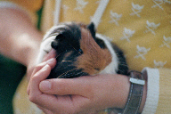 Wenn Tiere Menschen verstehen und Menschen Tiere verstehen bedeutet das oft das Schönste...