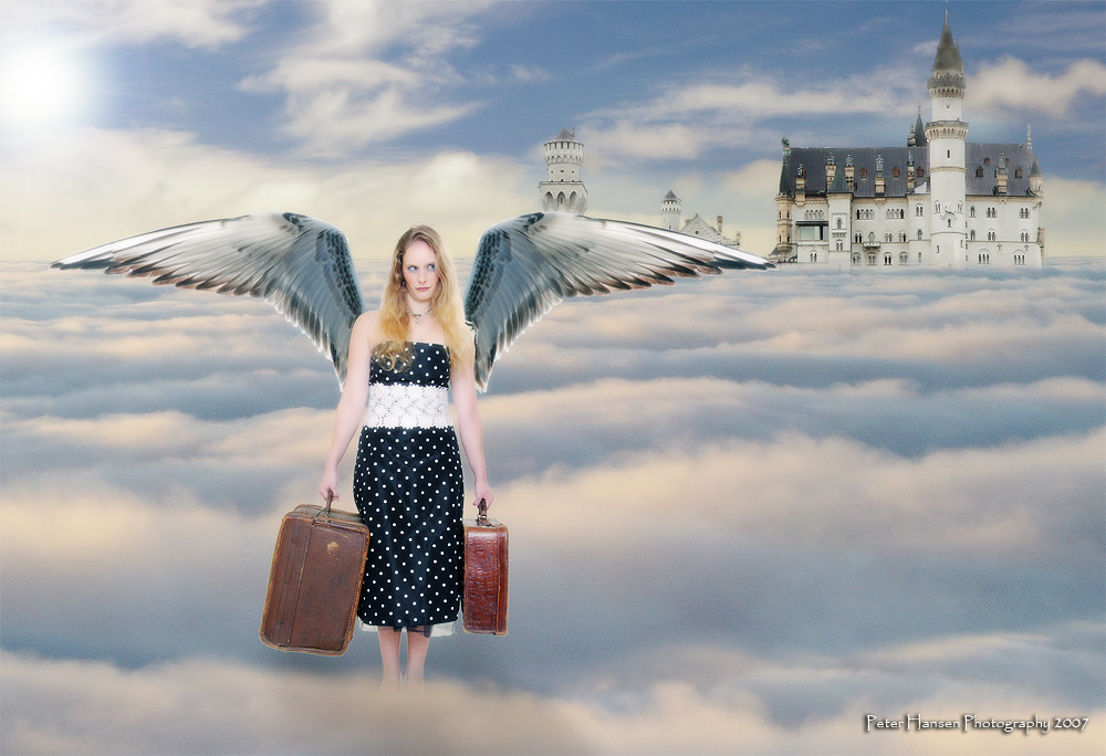 Fliegen Lernen Fliegen Lernen