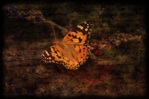 Wenn Träume Flügel haben