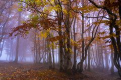 wenn trist schön ist...