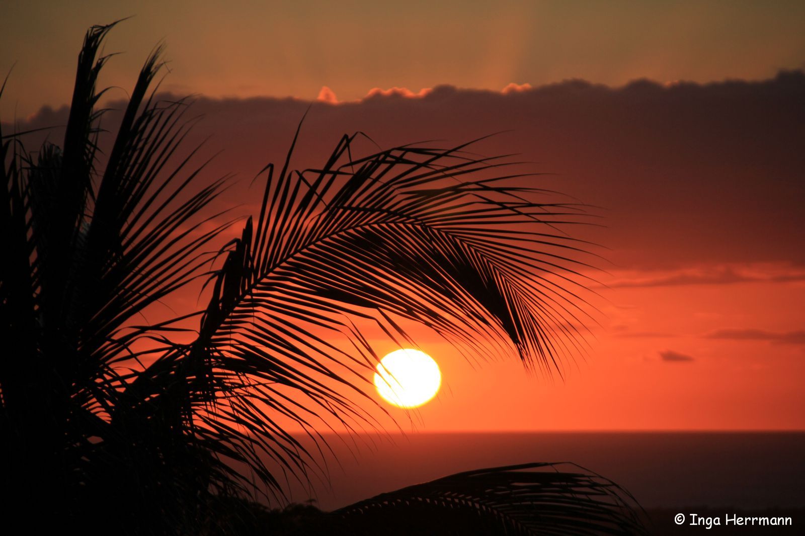 Wenn vor Cuba die rote Sonne im Meer versinkt...