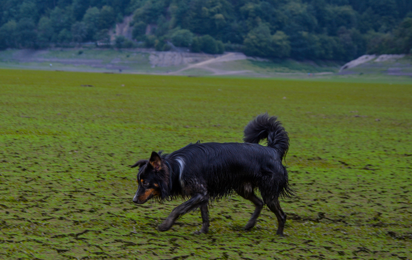 Wenn Wasser vorhanden war, dann aber auch Schlamm....