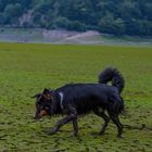 Wenn Wasser vorhanden war, dann aber auch Schlamm....