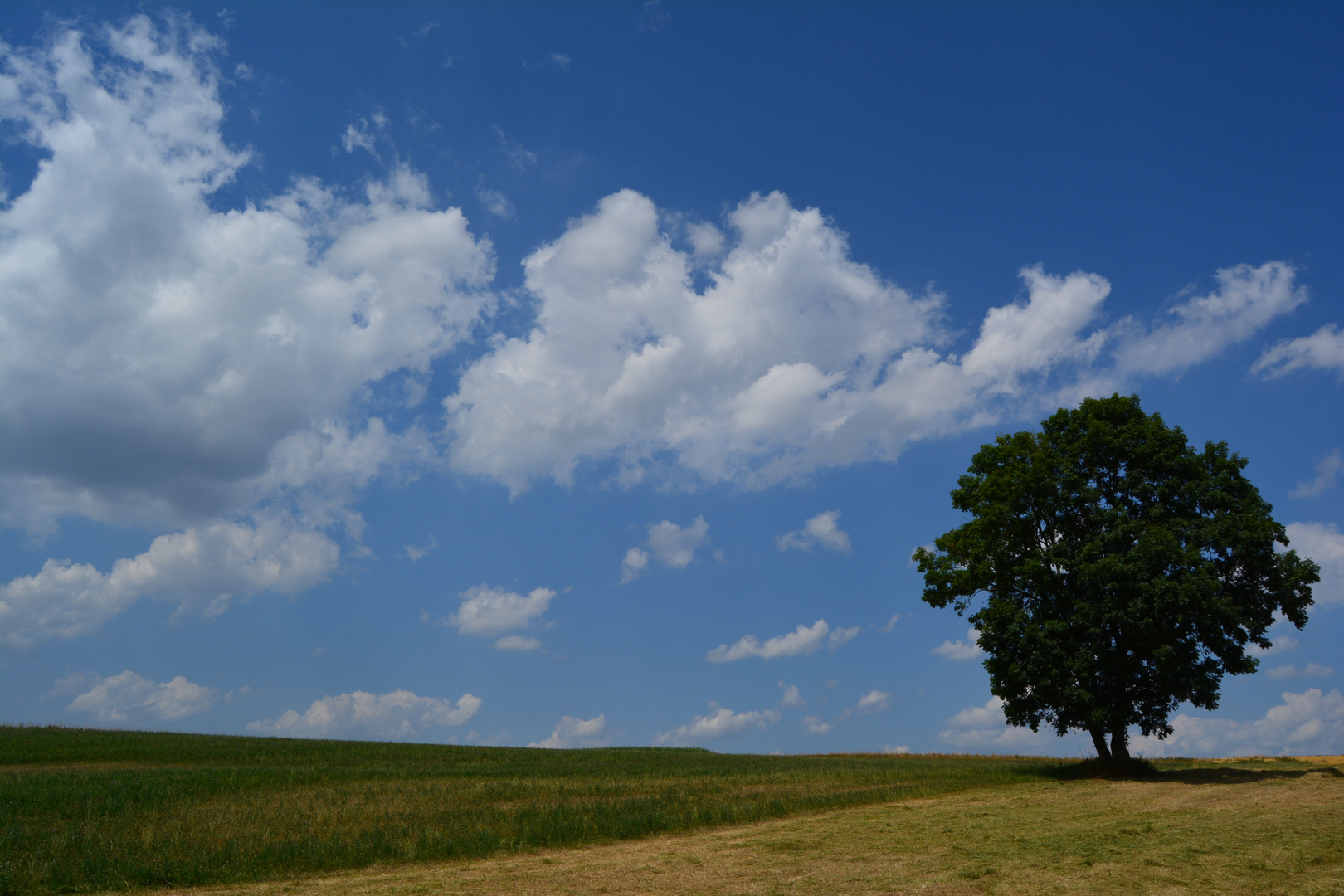 Wenn weisse Wolken......