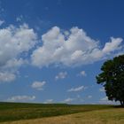 Wenn weisse Wolken......