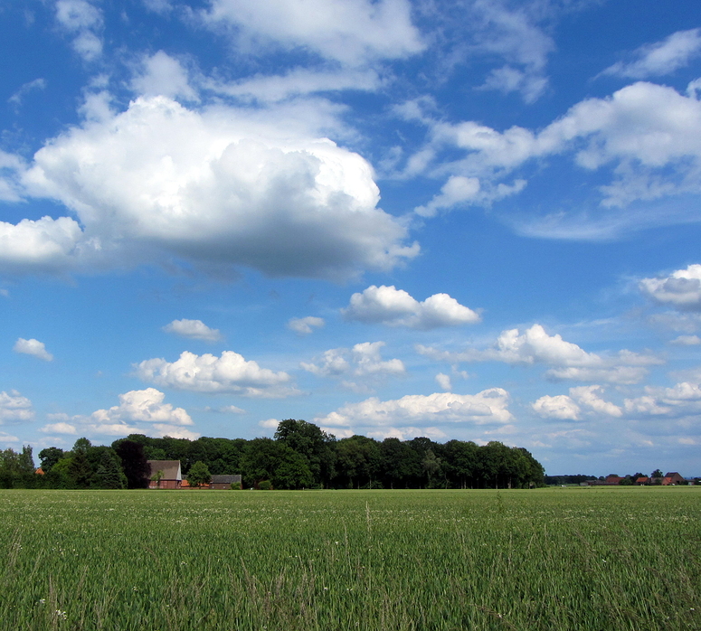 Wenn weisse Wolken wandern ...