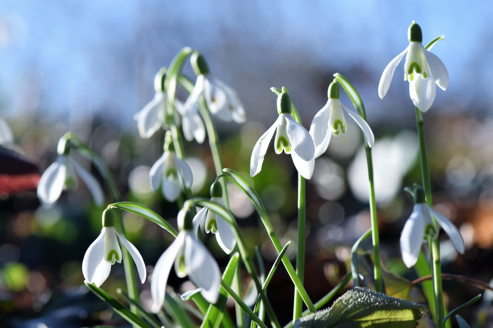 Wenn Winter und Frühling ......