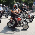 Wenn wir groß sind werden wir auch Harleys   :-)))))