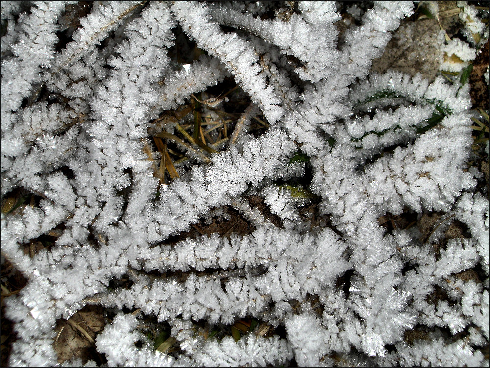 "Wenn wir mit offenen Augen durchs Leben gehen, so............... Foto