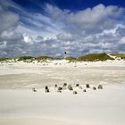 Wenn Wolken den Leuchtturm küssen....