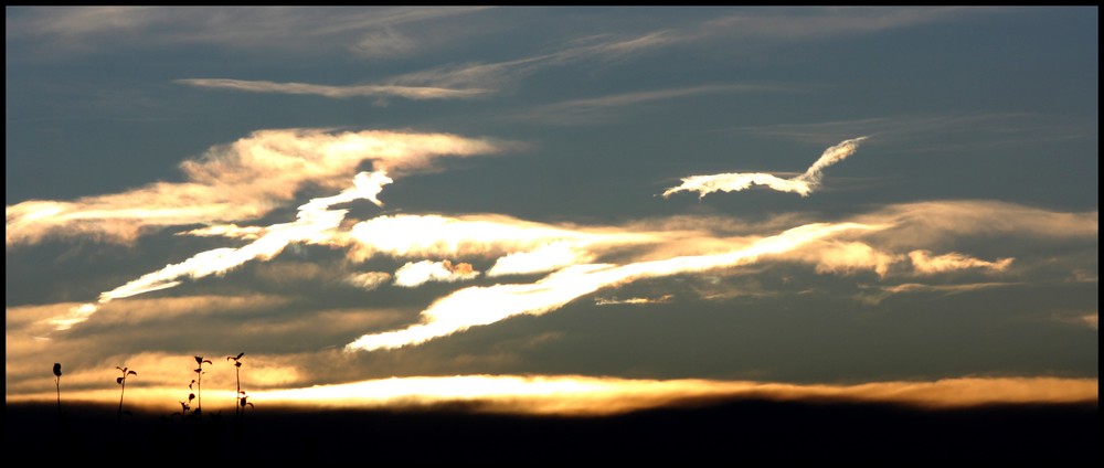 Wenn Wolken Flügeln bekommen.....