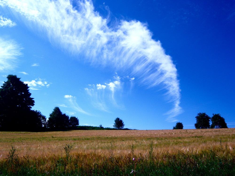 Wenn Wolken Wandern