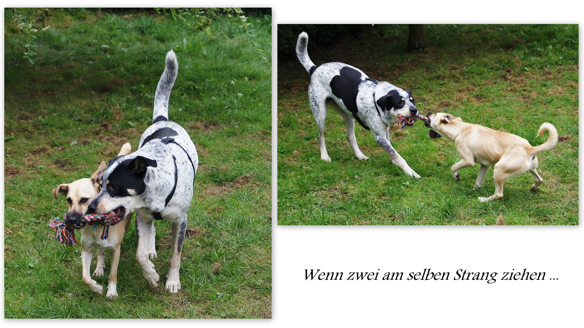 Wenn zwei am selben Strang ziehen ...