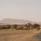 Wenn  Zwei eine Reise .../0029 Namibia - Das Tal des Tsauchab