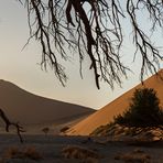 Wenn Zwei eine Reise .../0030 Namibia - bei Düne 45 die Zwote