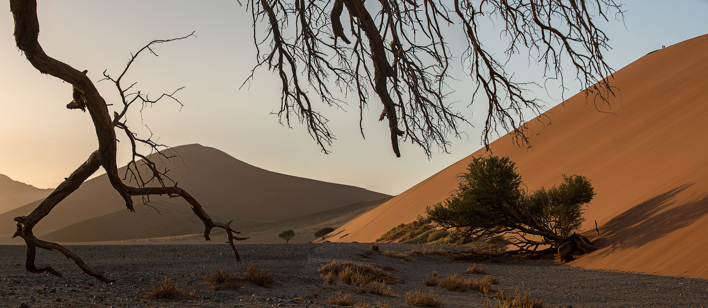 Wenn Zwei eine Reise ... / 0030 Namibia - bei Düne 45