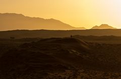 Wenn Zwei eine Reise... / 0031 Namibia - sundown mit Oryx