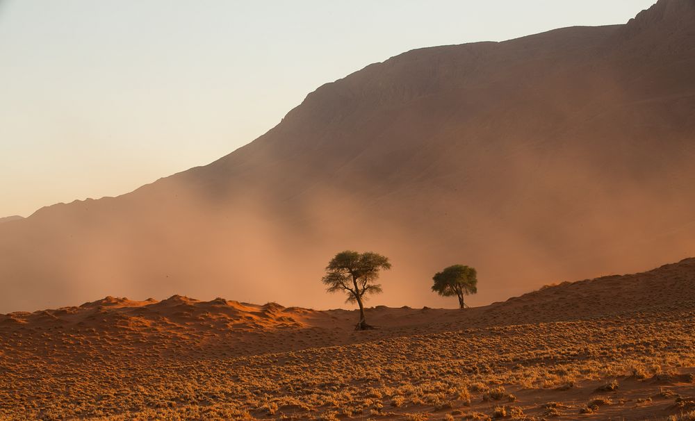 Wenn Zwei eine Reise .../0034 Namibia - Sandsturm
