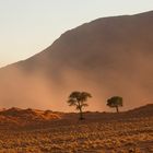 Wenn Zwei eine Reise .../0034 Namibia - Sandsturm