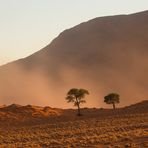 Wenn Zwei eine Reise .../0034 Namibia - Sandsturm