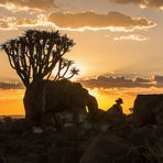 Wenn Zwei eine Reise .../0036 Namibia - sundown in den Köcherbäumen